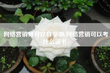 网络营销师可以自学嘛(网络营销可以考什么证书)
