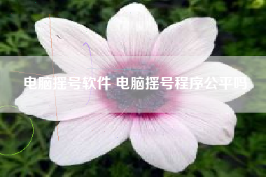 电脑摇号软件 电脑摇号程序公平吗