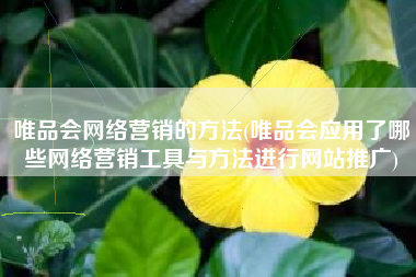 唯品会网络营销的方法(唯品会应用了哪些网络营销工具与方法进行网站推广)