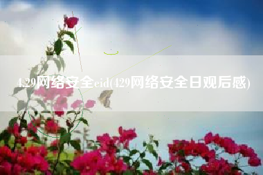 4.29网络安全eid(429网络安全日观后感)