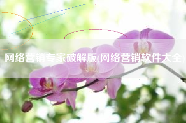 网络营销专家破解版(网络营销软件大全)
