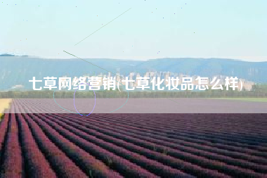 七草网络营销(七草化妆品怎么样)