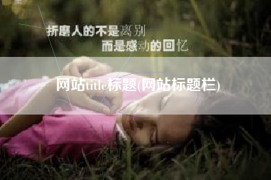 网站title标题(网站标题栏)