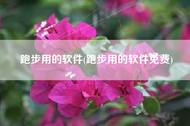 跑步用的软件(跑步用的软件免费)