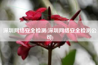 深圳网络安全检测(深圳网络安全检测公司)