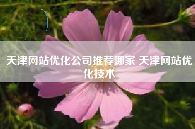 天津网站优化公司推荐哪家 天津网站优化技术