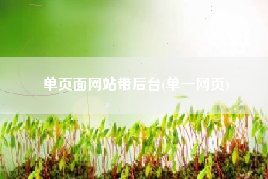单页面网站带后台(单一网页)