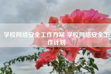 学校网络安全工作方案 学校网络安全工作计划
