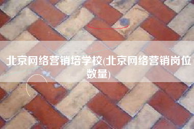 北京网络营销培学校(北京网络营销岗位数量)
