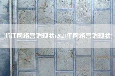 浙江网络营销现状(2021年网络营销现状)