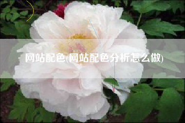 网站配色(网站配色分析怎么做)