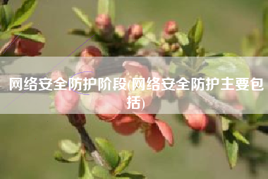 网络安全防护阶段(网络安全防护主要包括)