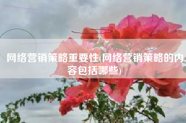 网络营销策略重要性(网络营销策略的内容包括哪些)