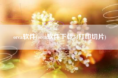 orca软件(orca软件下载3d打印切片)