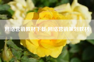 网络营销教材下载(网络营销策划教材)