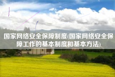 国家网络安全保障制度(国家网络安全保障工作的基本制度和基本方法)