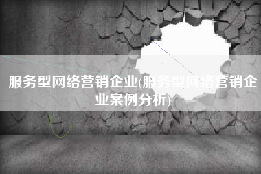 服务型网络营销企业(服务型网络营销企业案例分析)