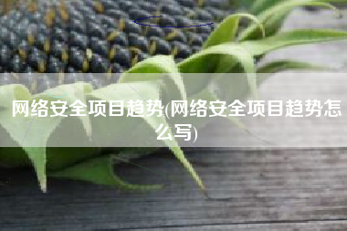 网络安全项目趋势(网络安全项目趋势怎么写)