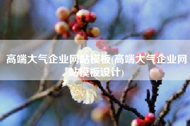 高端大气企业网站模板(高端大气企业网站模板设计)