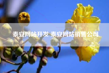 泰安网站开发 泰安网站销售公司