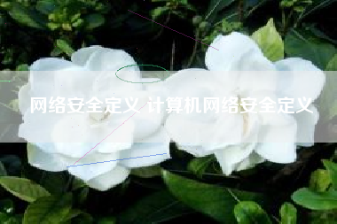 网络安全定义 计算机网络安全定义