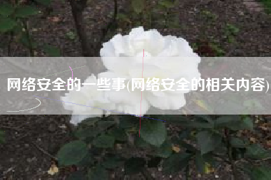 网络安全的一些事(网络安全的相关内容)