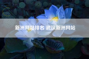新洲网站排名 武汉新洲网站