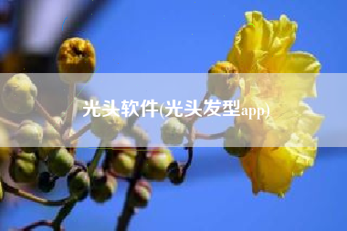 光头软件(光头发型app)