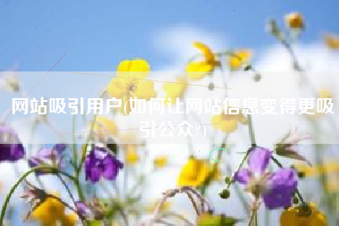 网站吸引用户(如何让网站信息变得更吸引公众?)