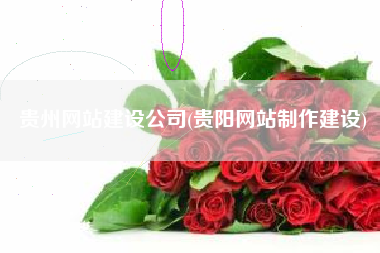 贵州网站建设公司(贵阳网站制作建设)