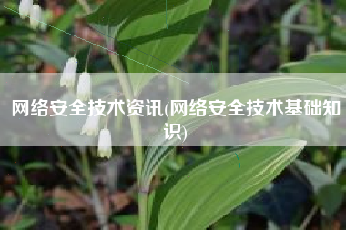网络安全技术资讯(网络安全技术基础知识)