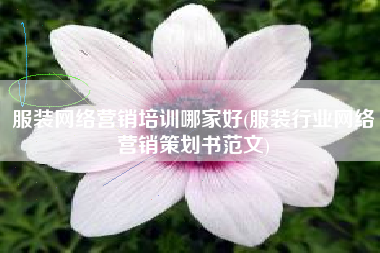 服装网络营销培训哪家好(服装行业网络营销策划书范文)