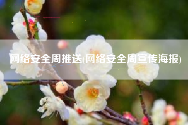 网络安全周推送(网络安全周宣传海报)