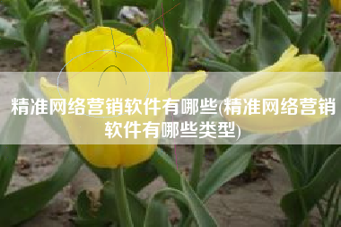 精准网络营销软件有哪些(精准网络营销软件有哪些类型)