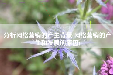 分析网络营销的产生背景(网络营销的产生和发展的原因)