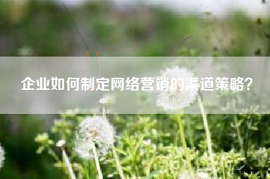 企业如何制定网络营销的渠道策略？