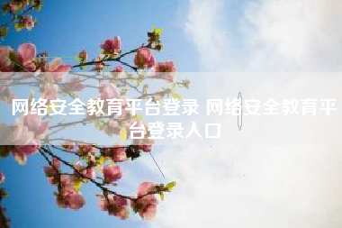 网络安全教育平台登录 网络安全教育平台登录入口