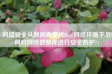 网络安全从数据库里找flag(网络环境下,如何对网络数据库进行安全防护?)