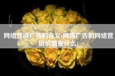 网络营销广告的含义(网络广告的网络营销价值是什么)