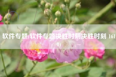 软件专题(软件专题决胜时刻决胜时刻 1610)