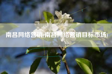 南昌网络营销(南昌网络营销目标市场)