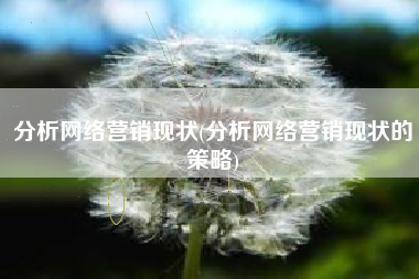 分析网络营销现状(分析网络营销现状的策略)