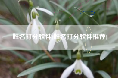 姓名打分软件(姓名打分软件推荐)