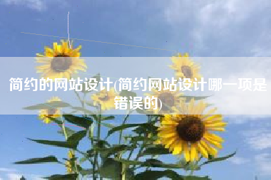 简约的网站设计(简约网站设计哪一项是错误的)
