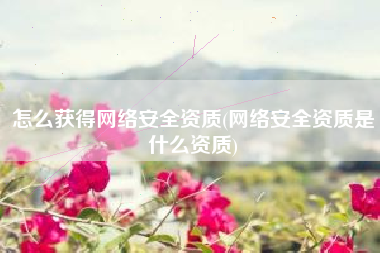 怎么获得网络安全资质(网络安全资质是什么资质)