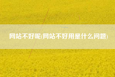 网站不好呢(网站不好用是什么问题)