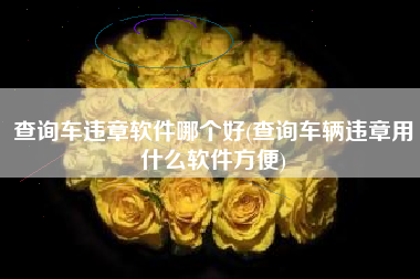查询车违章软件哪个好(查询车辆违章用什么软件方便)