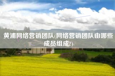 黄浦网络营销团队(网络营销团队由哪些成员组成?)