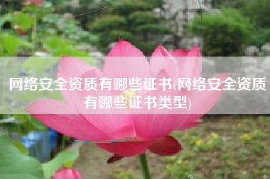 网络安全资质有哪些证书(网络安全资质有哪些证书类型)