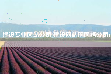 建设专业网站公司(建设网站的网络公司)